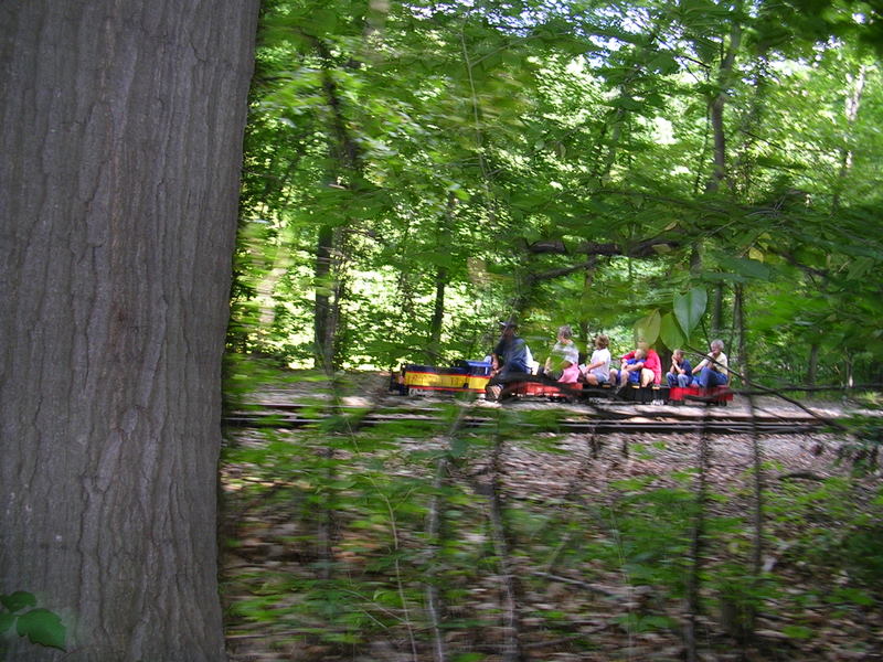 train 6