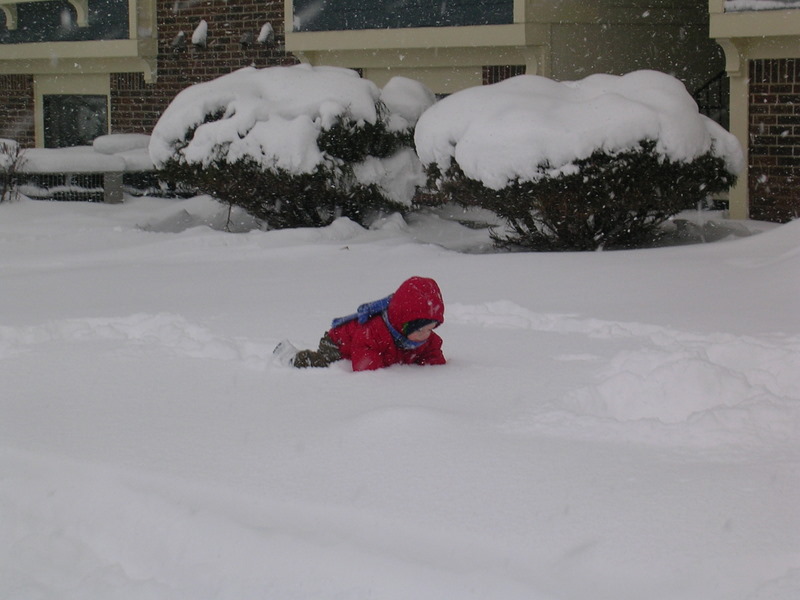 snow4